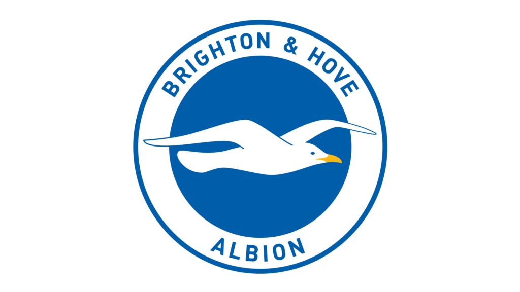 Brighton and Hove Albion FC History