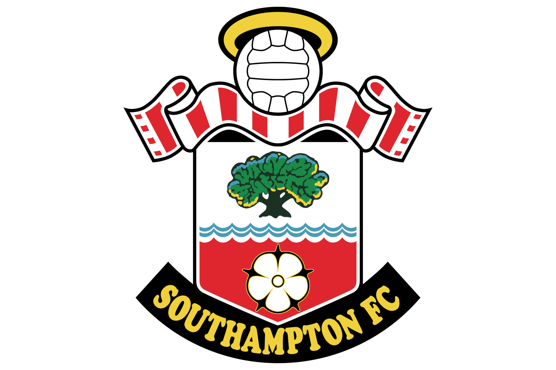 Southampton FC History