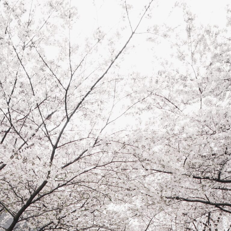 Yamanashi Prefecture Air Quality