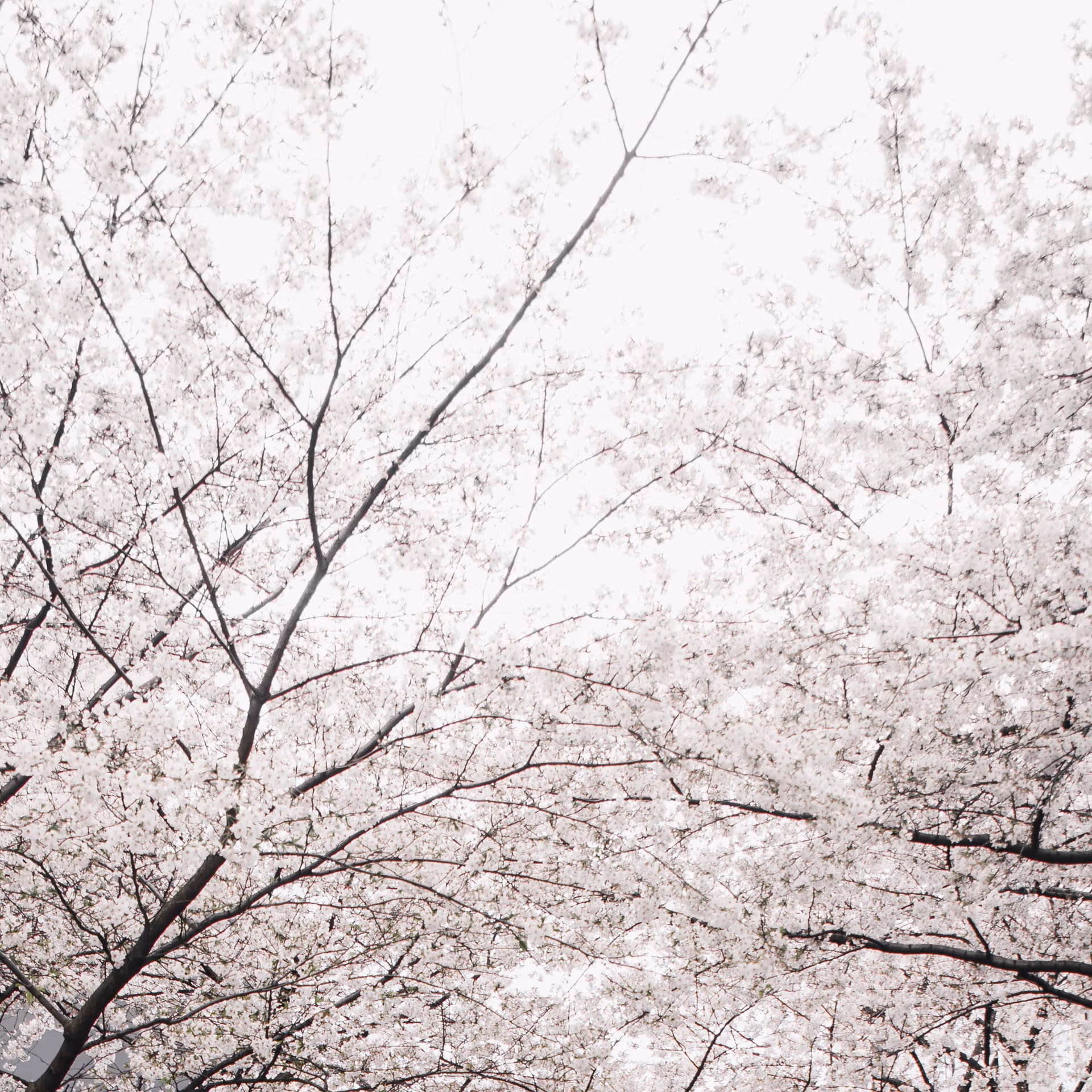 Air Quality Yamanashi Prefecture